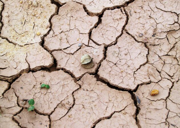 Risk of extreme drought by 2060
